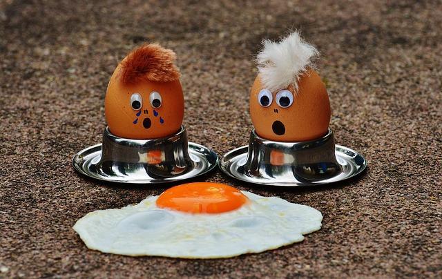 Fotó vicc csirke tojás